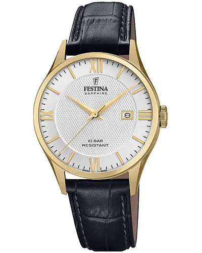 Festina Classic F20010/2